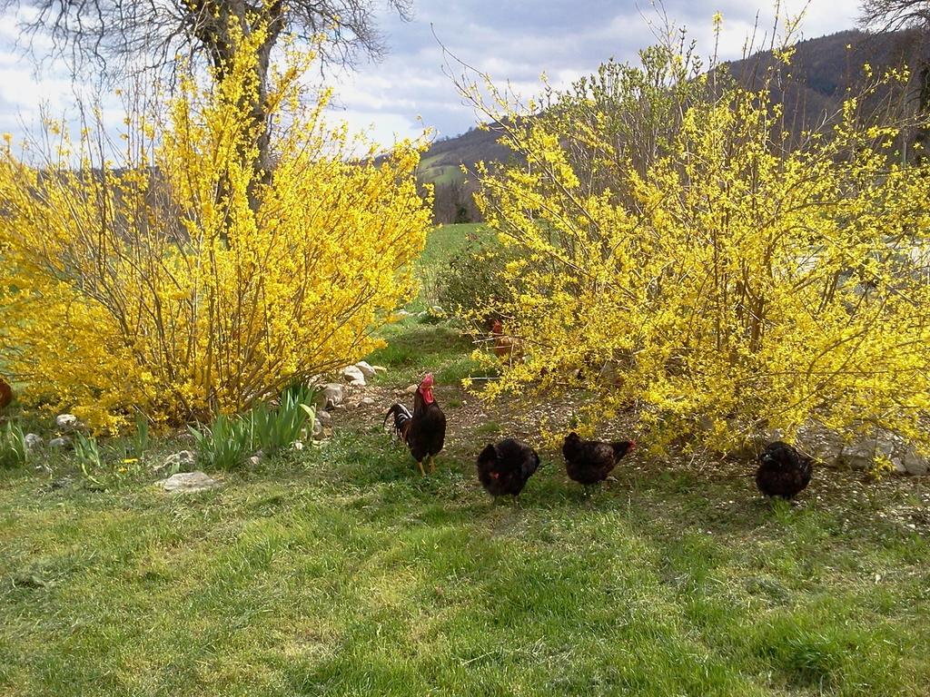 Antica Dimora Séjour à la campagne *